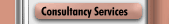 Consultancy Services